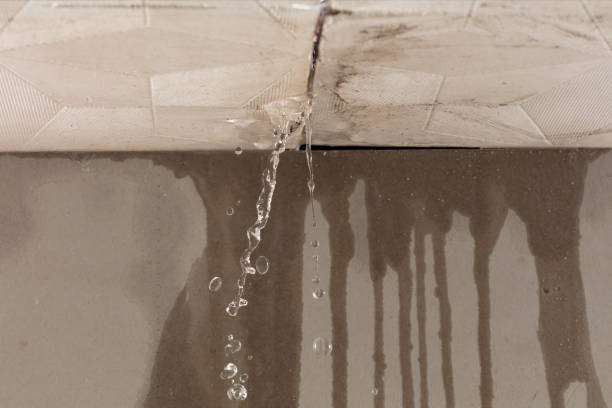 Professional Structural Drying technician working in Caldwell, OH